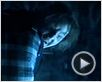 Détour mortel 4 - Origines sanglantes Bande-annonce VO Détour mortel 4 - Origines sanglantes Bande-annonce VO