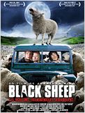 Black Sheep
