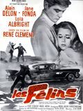 Les Félins Les Félins