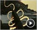 Rivers and Tides Extrait vidéo (2) VF