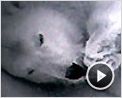 La Planète Blanche Teaser