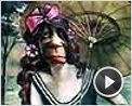 Letton(ant) Charlot Extrait vidéo (2) VF