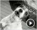 La Minute N°1108 - Lundi 07 mai 2012