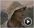 Beautiful Valley Bande-annonce VO