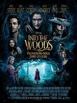 Into the Woods, Promenons-nous dans les bois Into the Woods, Promenons-nous dans les bois