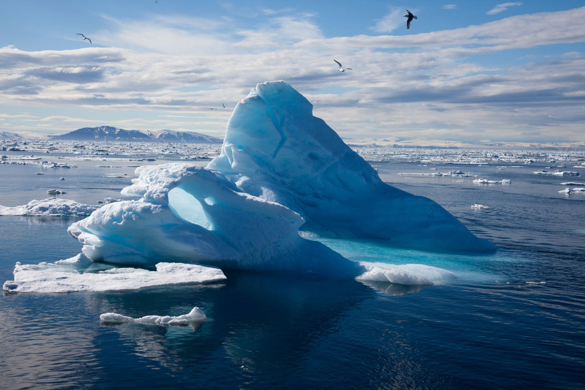 Photo du film Arctique - Photo 8 sur 8 - AlloCiné