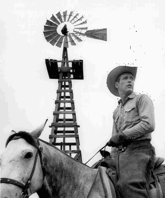Photo de Paul Newman - Le Plus sauvage d'entre tous Photo de Paul Newman - Le Plus sauvage d'entre tous