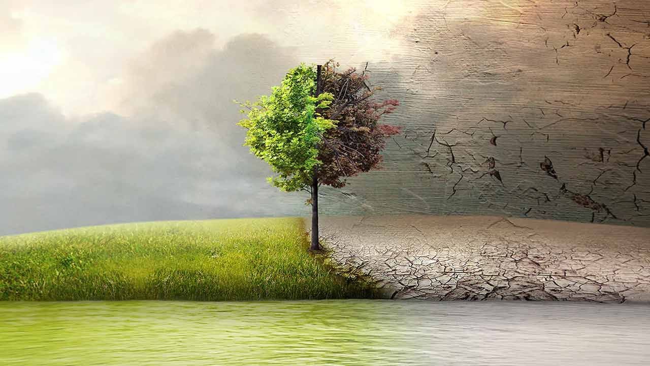 Avant la COP25, 5 films pour réveiller votre conscience écolo