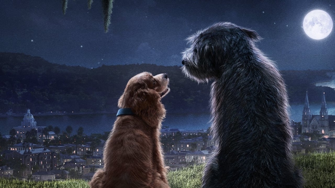 La Belle et le Clochard (Disney+) : la belle histoire derrière le casting du couple de chiens star