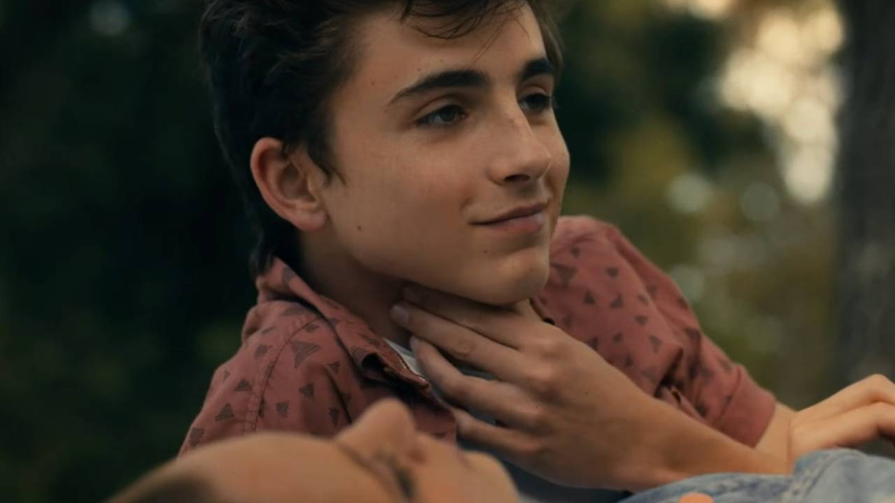 Timothée Chalamet : sur quelles plateformes peut-on voir ses films ?