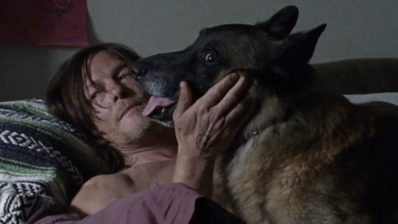 The Walking Dead sur OCS : l’épisode 18 sur le passé de Daryl fait réagir les fans de la série