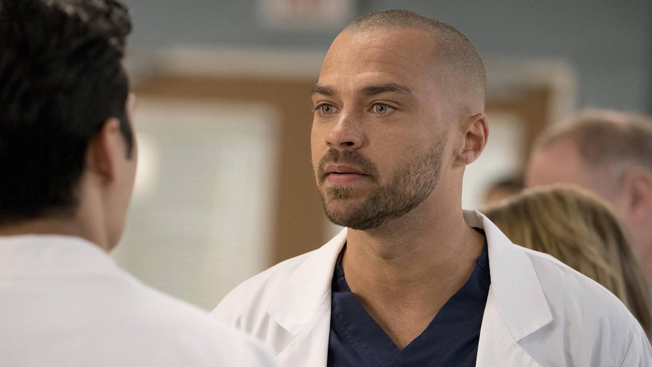 Grey's Anatomy : Jesse Williams évoque un possible spin-off sur Jackson et April