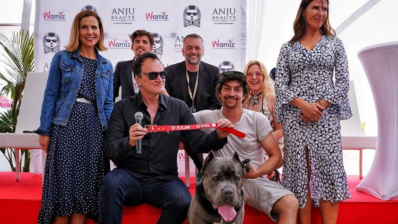 Cannes 2021 : qui va succéder au chien de Once Upon a Time Hollywood à la victoire de la PalmDog Wamiz ?