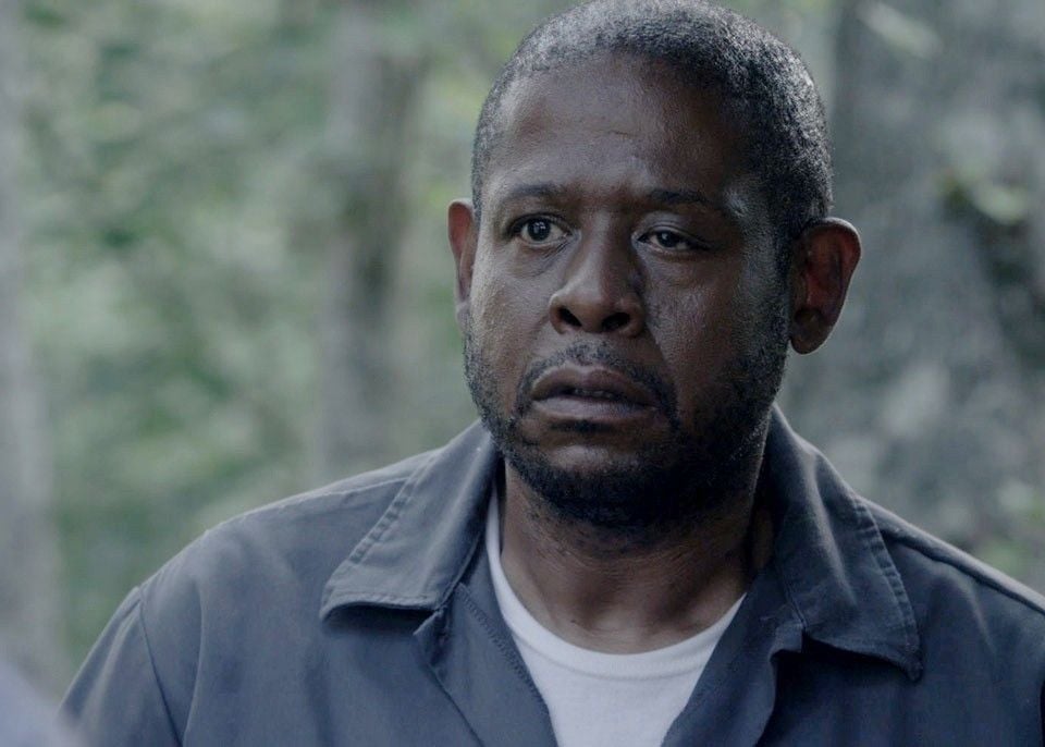Photo de Forest Whitaker Repentance Photo Forest Whitaker AlloCiné