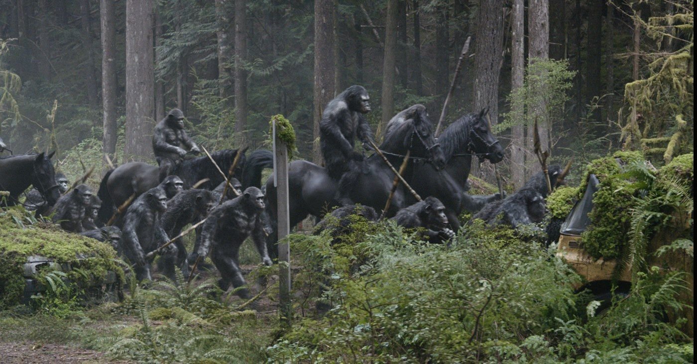 La Planète des singes : l'affrontement La Planète des singes : l'affrontement