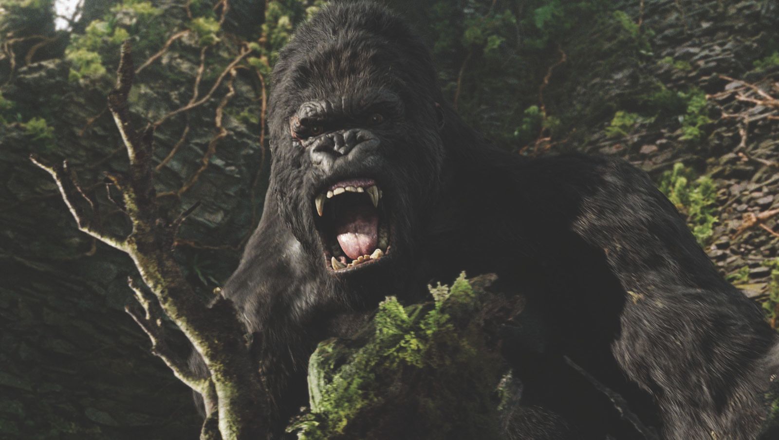 Venom Let There Be Carnage Streaming Vo Photo du film King Kong - Photo 23 sur 100 - AlloCiné