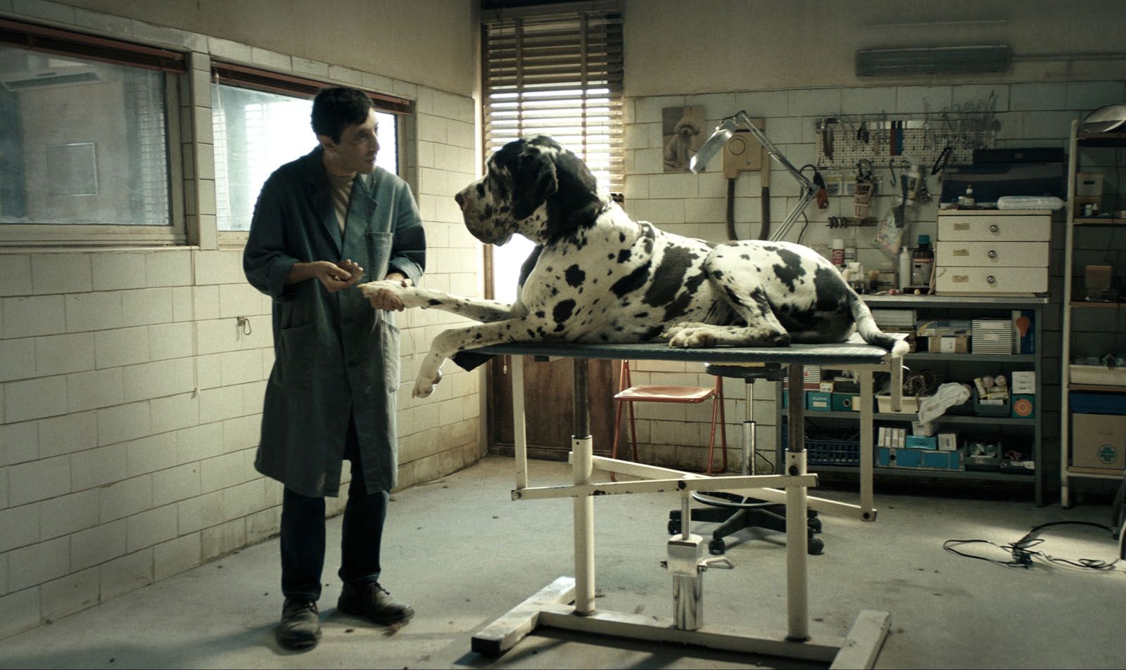 Dogman Dogman