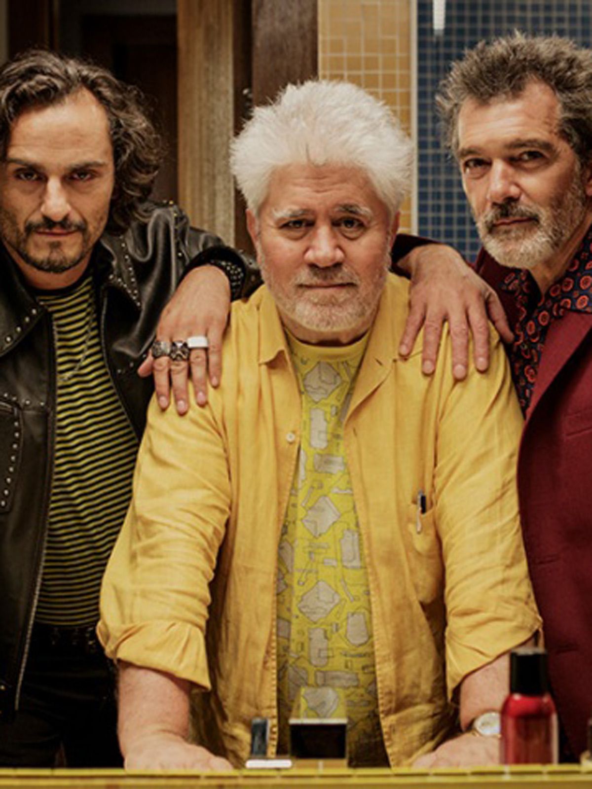 Douleur Et Gloire Streaming Douleur et gloire - film 2019 - AlloCiné
