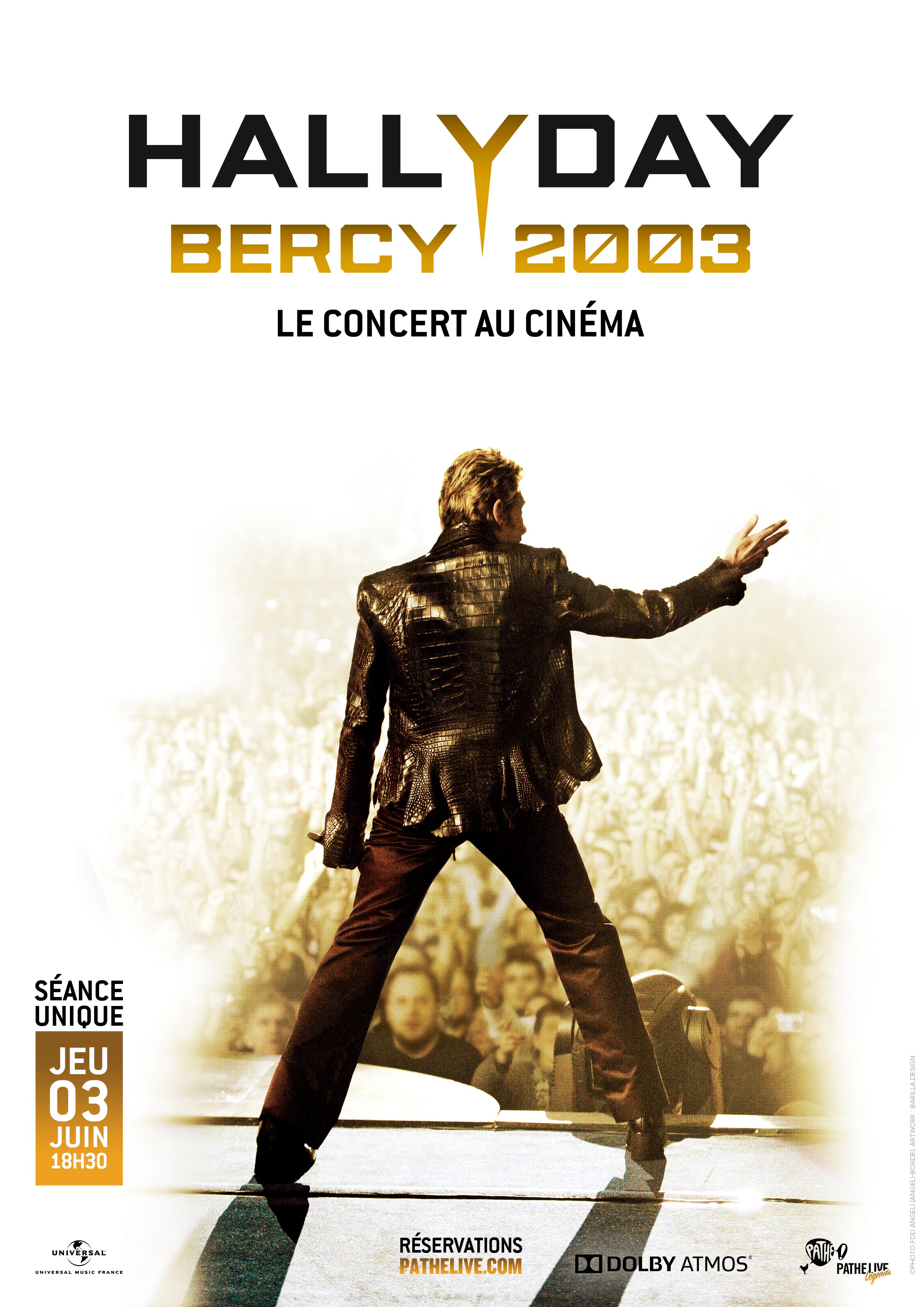 Johnny Hallyday - Bercy 2003 Le concert au cinéma