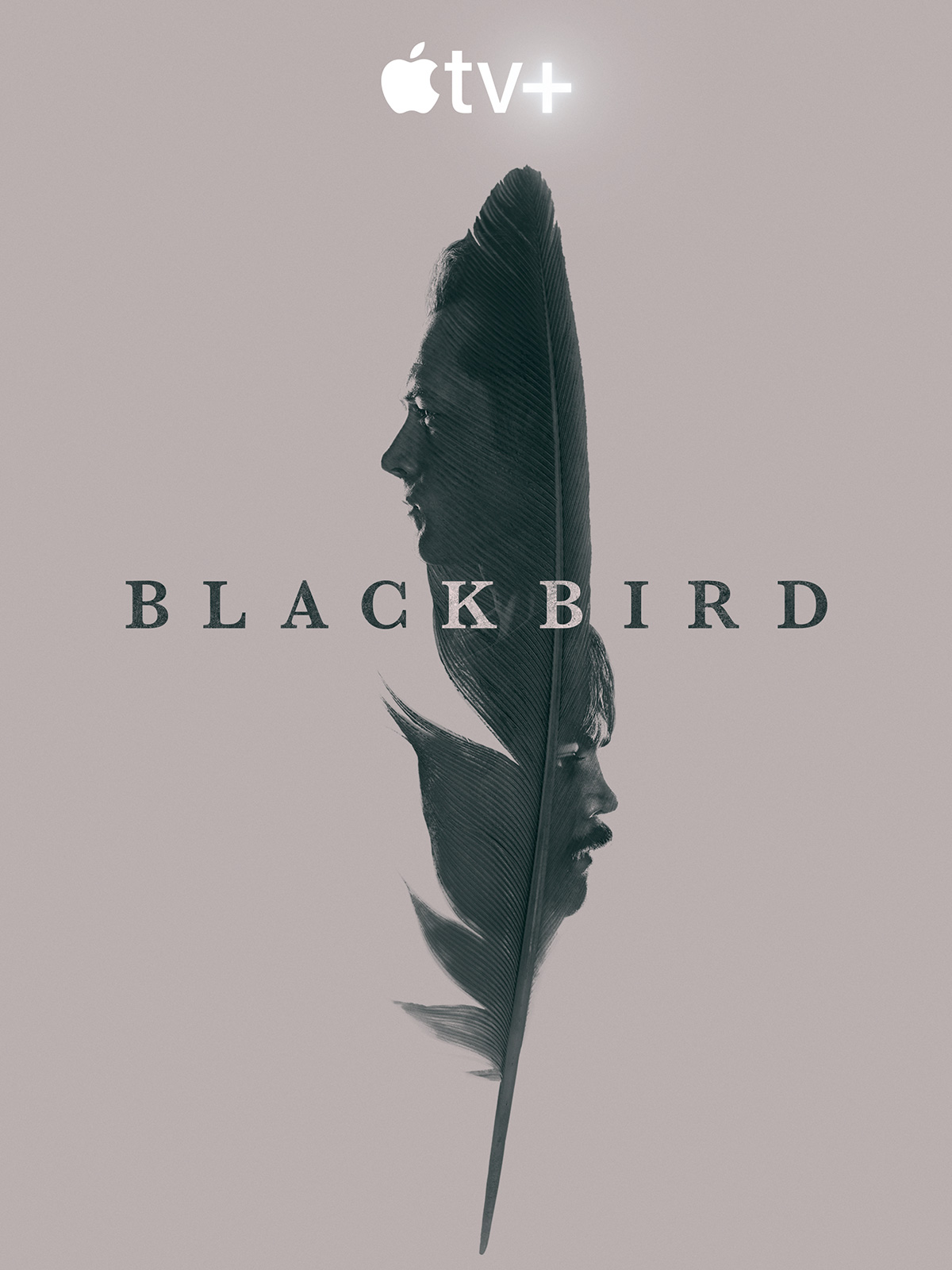 10 - Black Bird