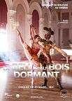 La Belle au bois dormant (Bolchoï - Pathé Live)