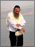 Assi Dayan