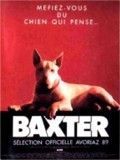 Photo : Baxter