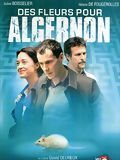 Photo : Des fleurs pour Algernon (TV)