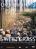 Photo : Sweetgrass