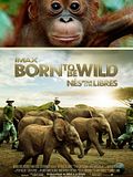 Photo : Born to Be Wild Photo : Born to Be Wild