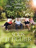 Photo : Sous le figuier Photo : Sous le figuier