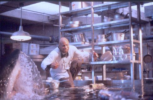 Peur bleue : Photo LL Cool J, Renny Harlin