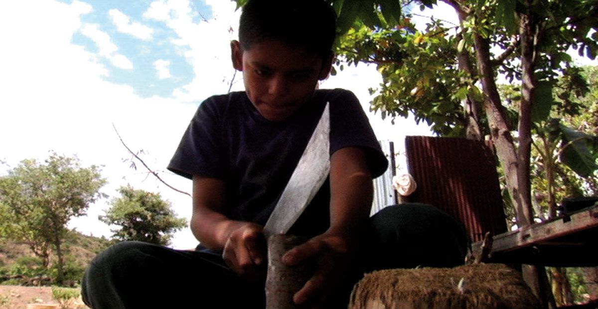 Los Herederos - Les Enfants héritiers : photo