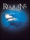 Télécharger : Le Monde des requins - Requins 3D