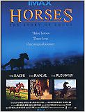 Trois chevaux, trois destins Trois chevaux, trois destins