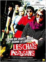 Les Chats persans Les Chats persans