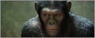 Box-office US : les singes doublent la mise !