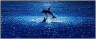 Le dauphin vedette du "Grand Bleu" s'est éteint