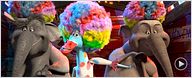 Cannes 2012 : "Madagascar 3" en musique ! [VIDEO]