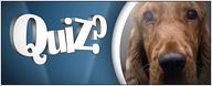 Quiz Ciné - les chiens sur grand écran !