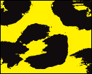 Locarno 2002 : le palmarès