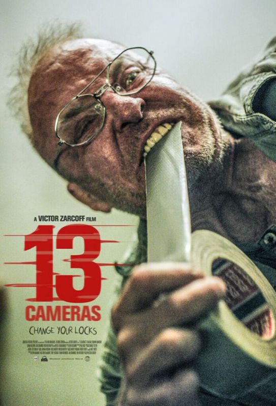 13 Cameras VO
