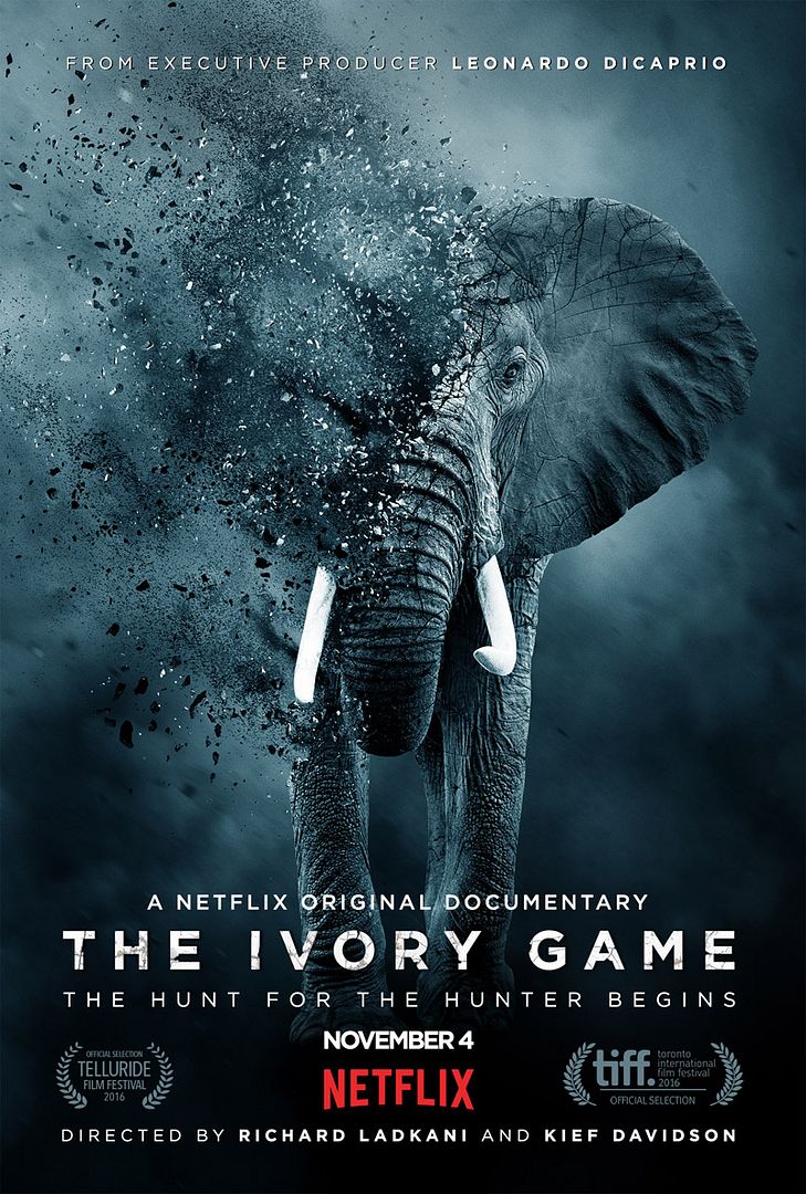 The Ivory Game VOSTFR 1080p WEBRIP 2016