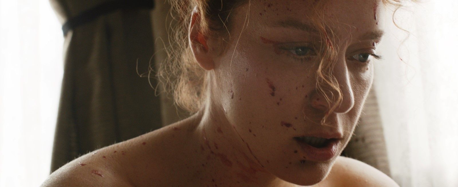Chloe Sevigny dans Lizzie