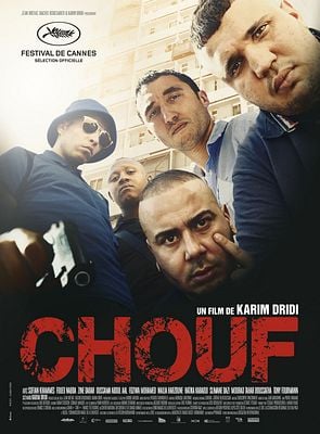 Chouf french dvdrip