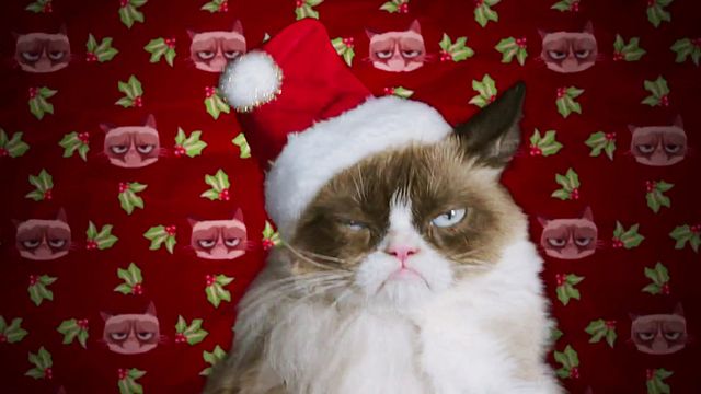 Grumpy Cat’s Worst Christmas Ever Bande-annonce VO