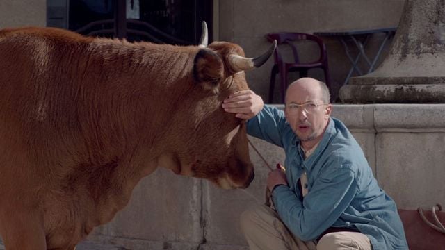 <strong>La Vache</strong> Bande-annonce VF