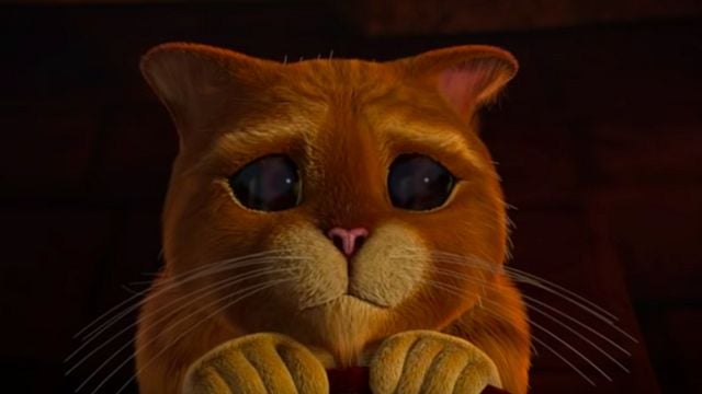 Le Chat Potté 2 Date De Sortie Les Aventures du Chat Potté - Série TV 2015 - AlloCiné