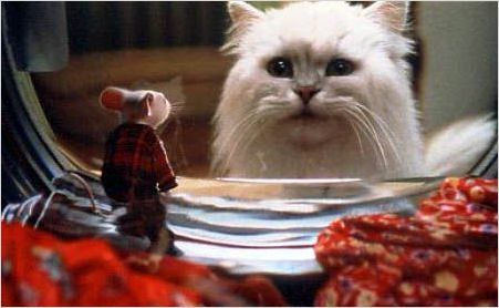 Stuart Little : photo
