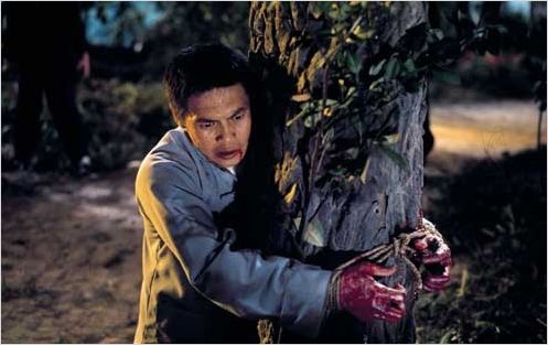 La Main de fer : photo Cheng Chang-Ho, Lieh Lo